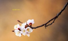 在這春暖花開的季節(jié)，歡迎你們加入知道網(wǎng)絡(luò)