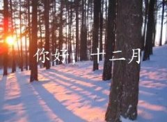 抓住2016年的尾巴給自己充充電！12月，加油！